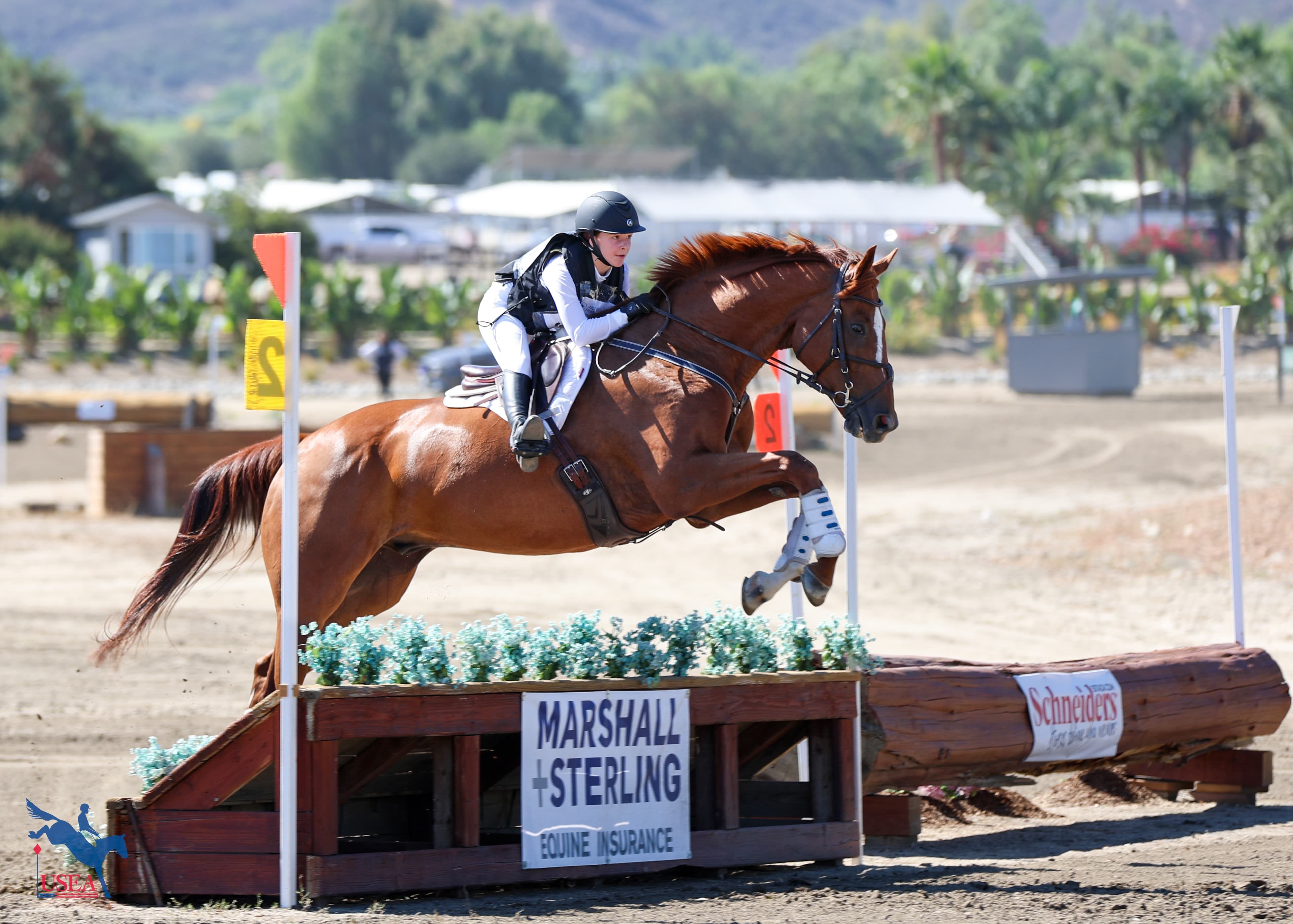 Individual Horse Owners Liability Insurance