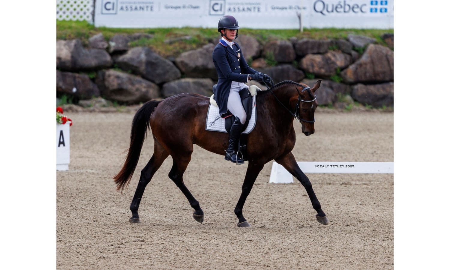Nicholson Takes Charge of the MARS Bromont CCI4*-L