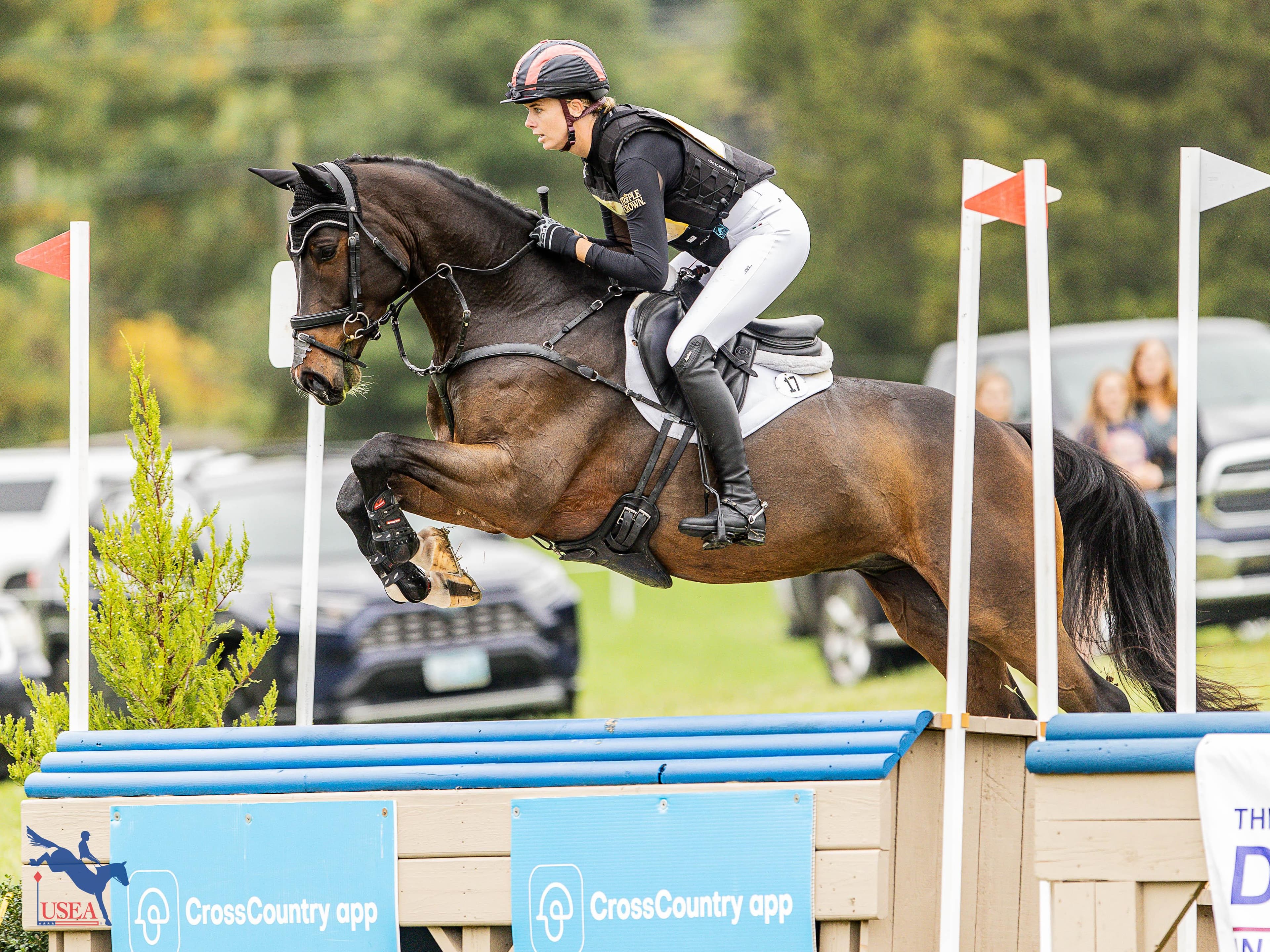 HSH Straight Arrow Hits the Mark in 2026 USEA Young Event Horse East Coast 4-Year-Old Championship