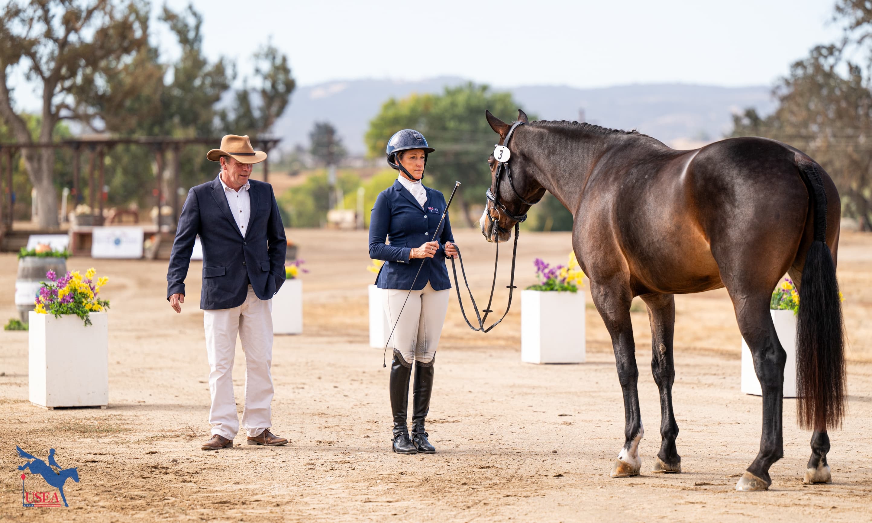 Applications Open for the 2026 USEA Young Event Horse New Judge Education Program