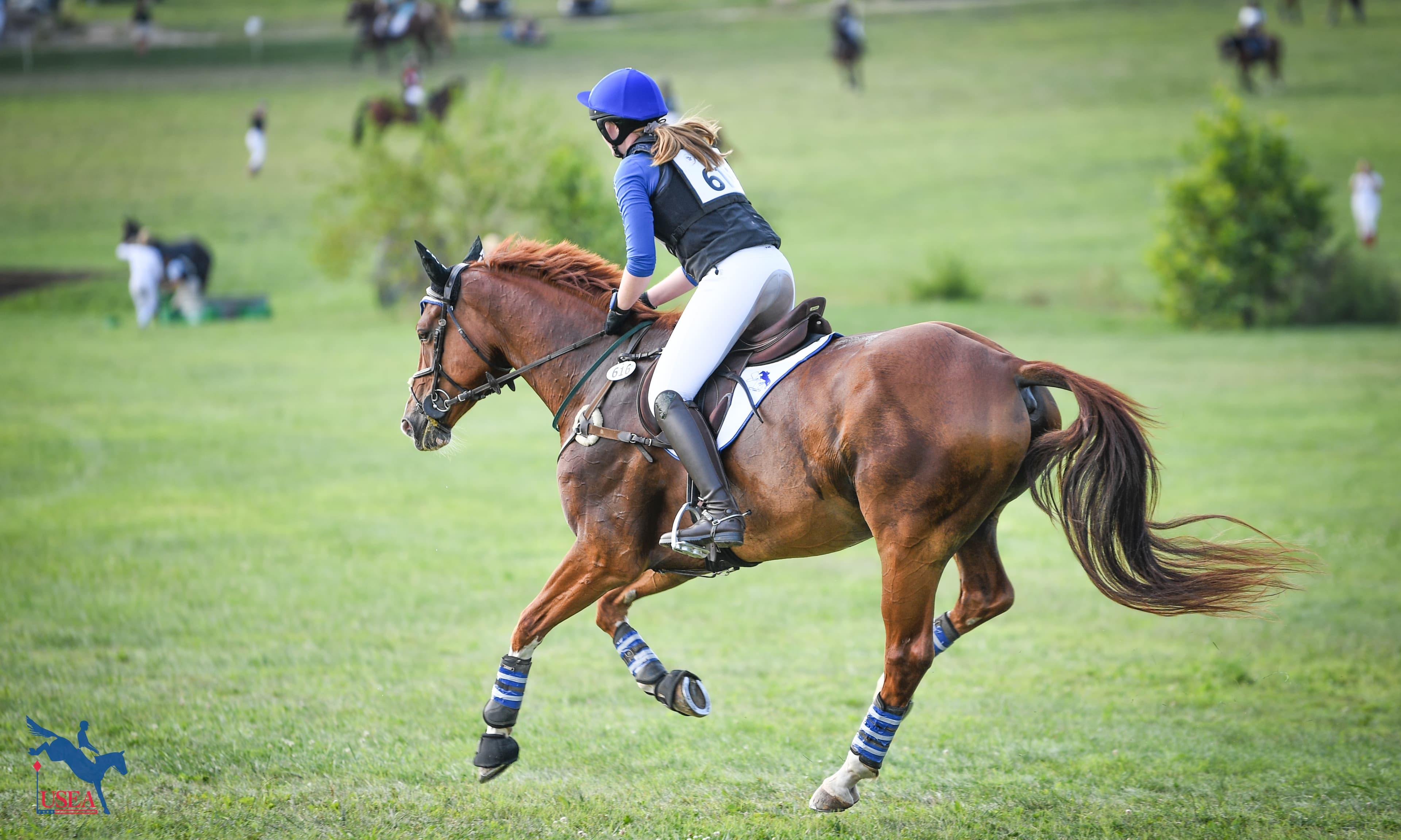 American Horse Council Foundation Begins Work on 2028 National Economic Impact Study of the U.S. Horse Industry