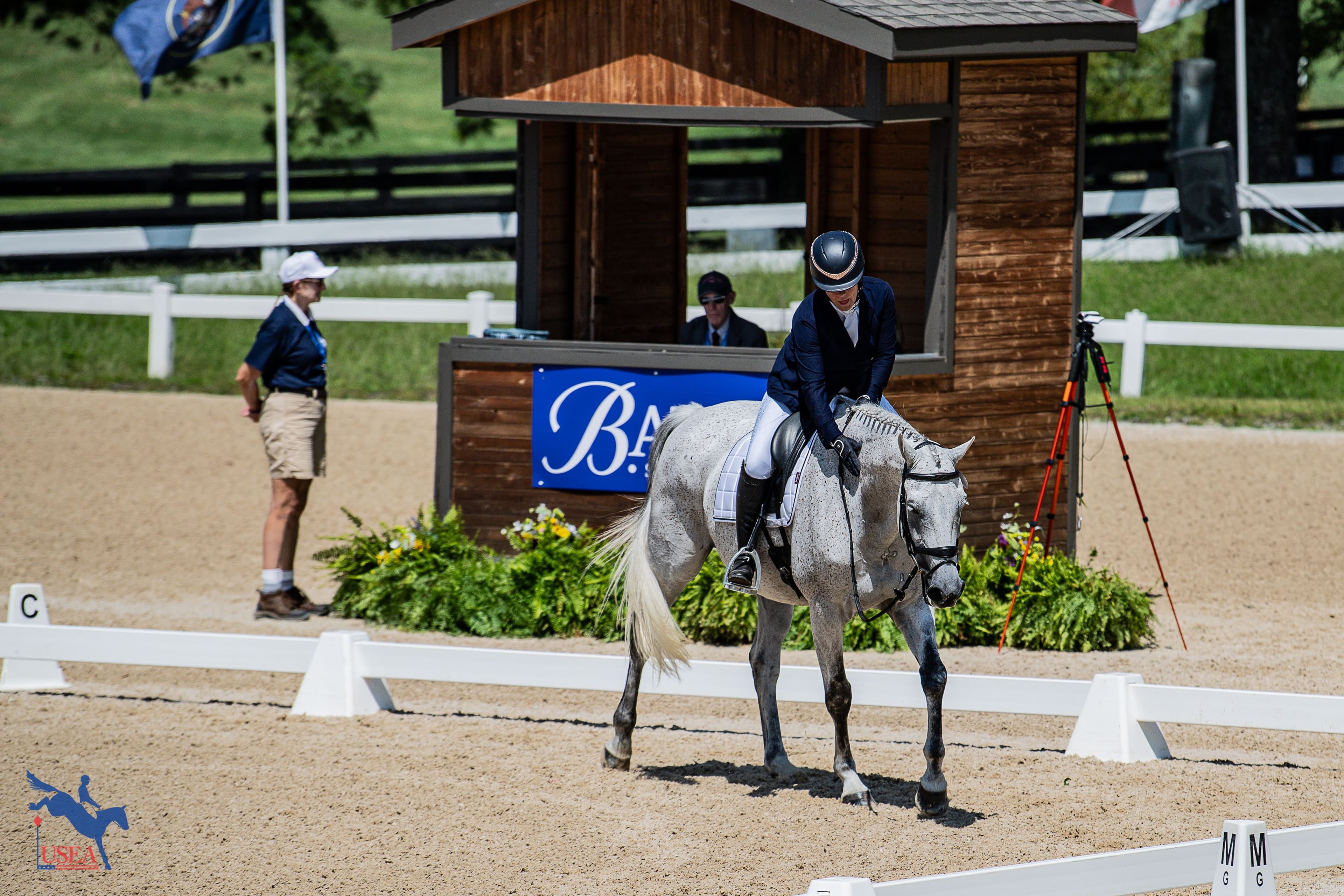The VAP Series: Dressage Score Runner