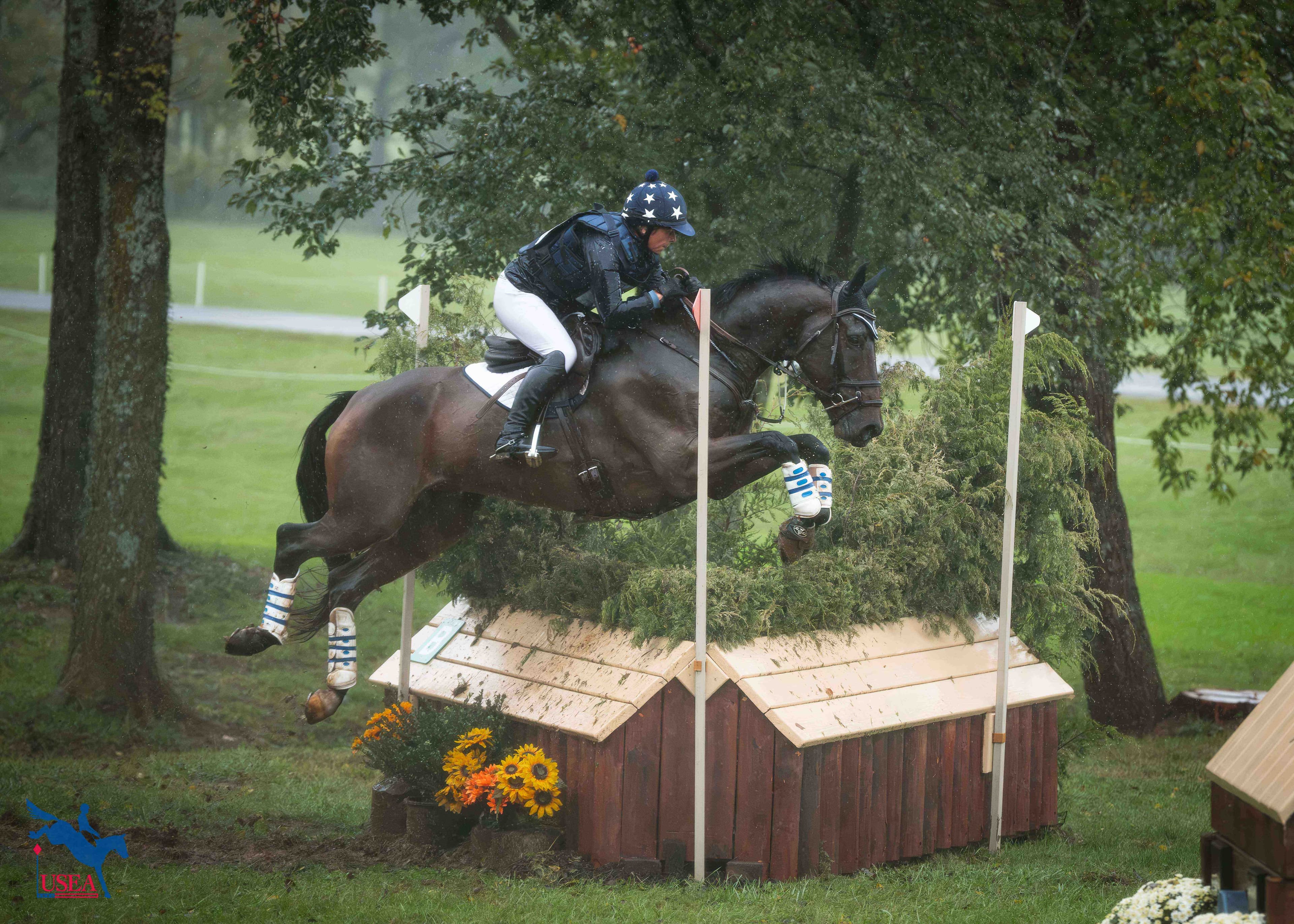 A First FEI Win for MHE Excel Star Noble Ikon and Morgan Houberg in USEA/USEF 6-Year-Old Developing Horse National Championship