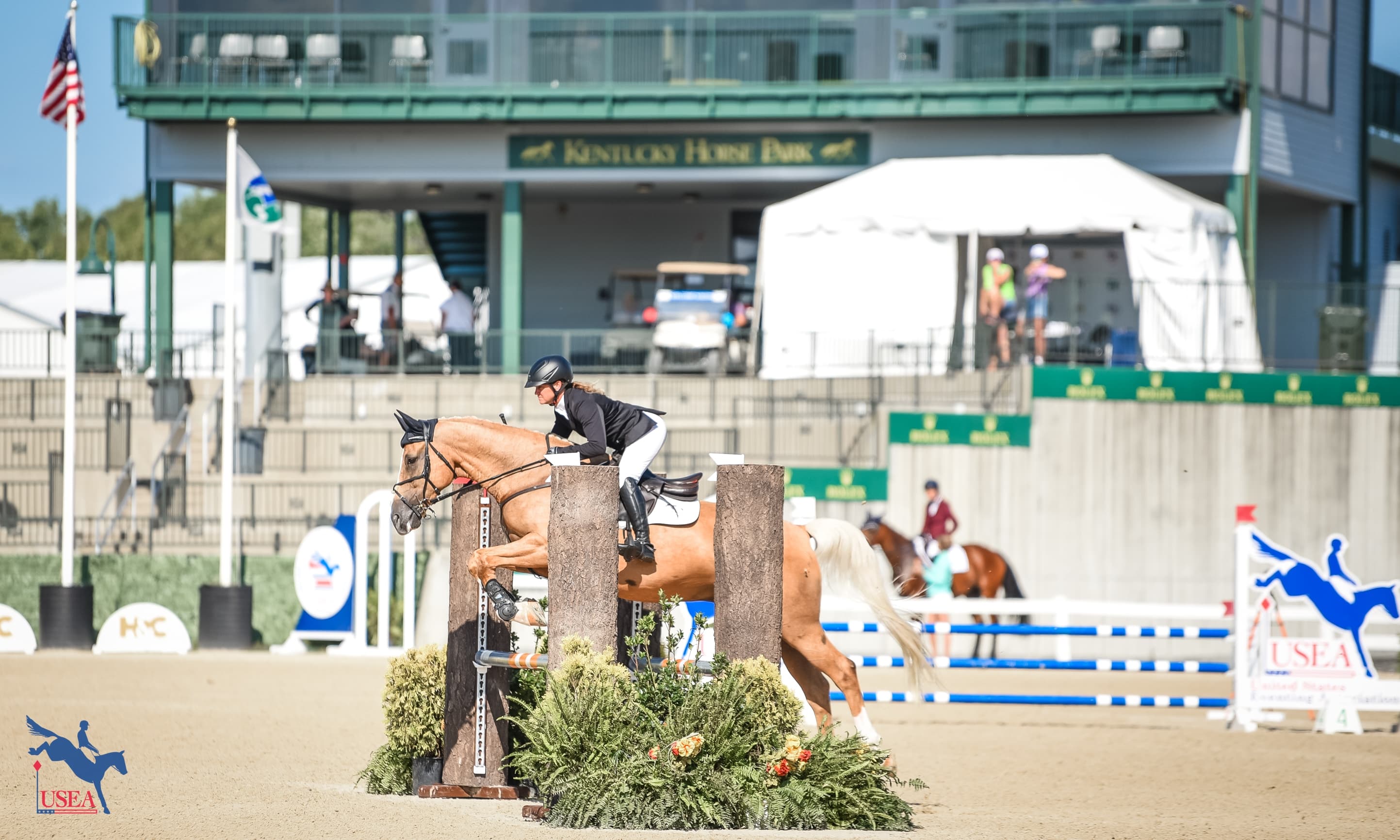 USEA AEC Stakeholder Survey Results Confirm Strong Preference for Maintaining Rolex Stadium Show Jumping Experience