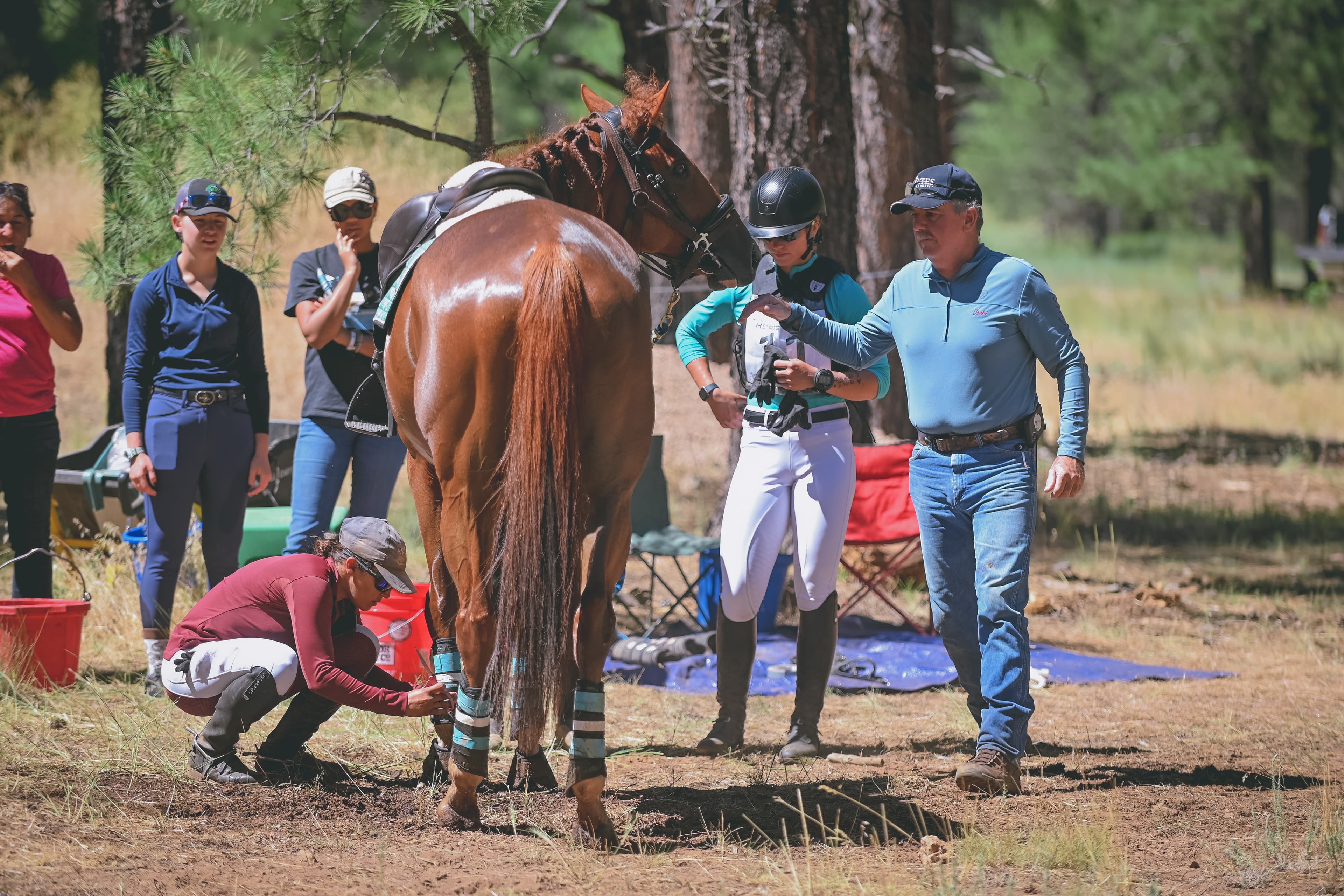 Catching Up with USEA Classic Series Winners at Coconino