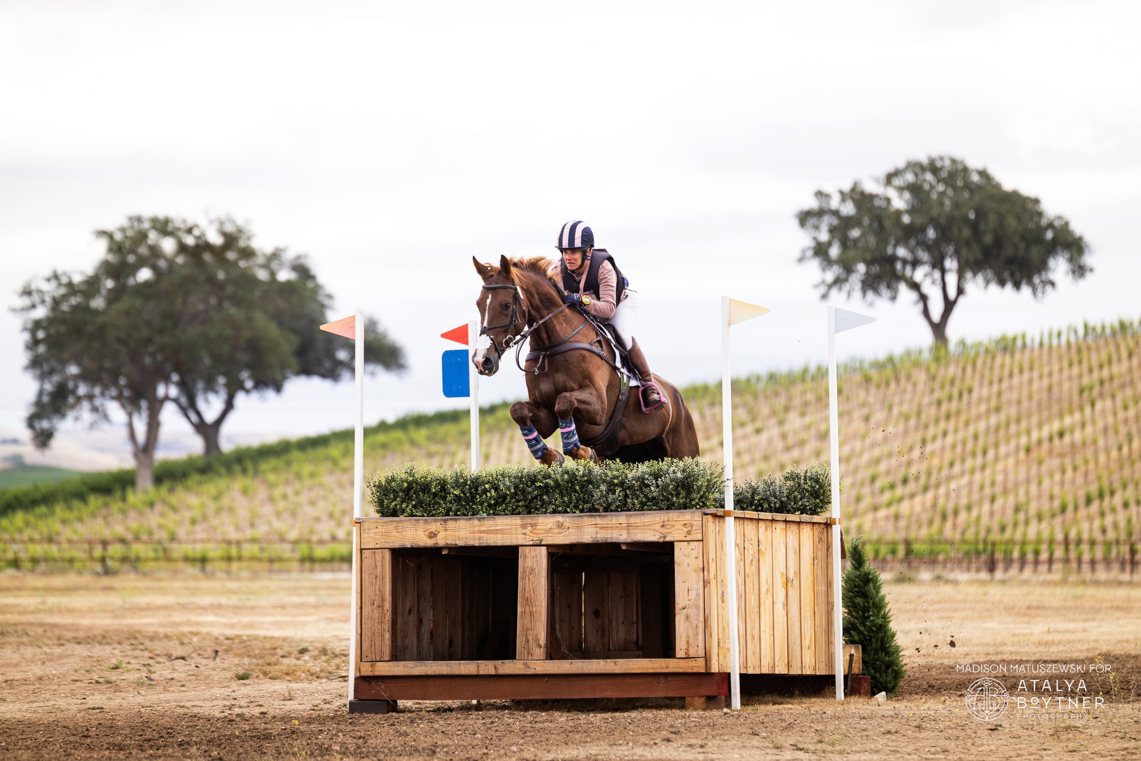 Returning to the Top at the Twin Rivers Summer Horse Trials