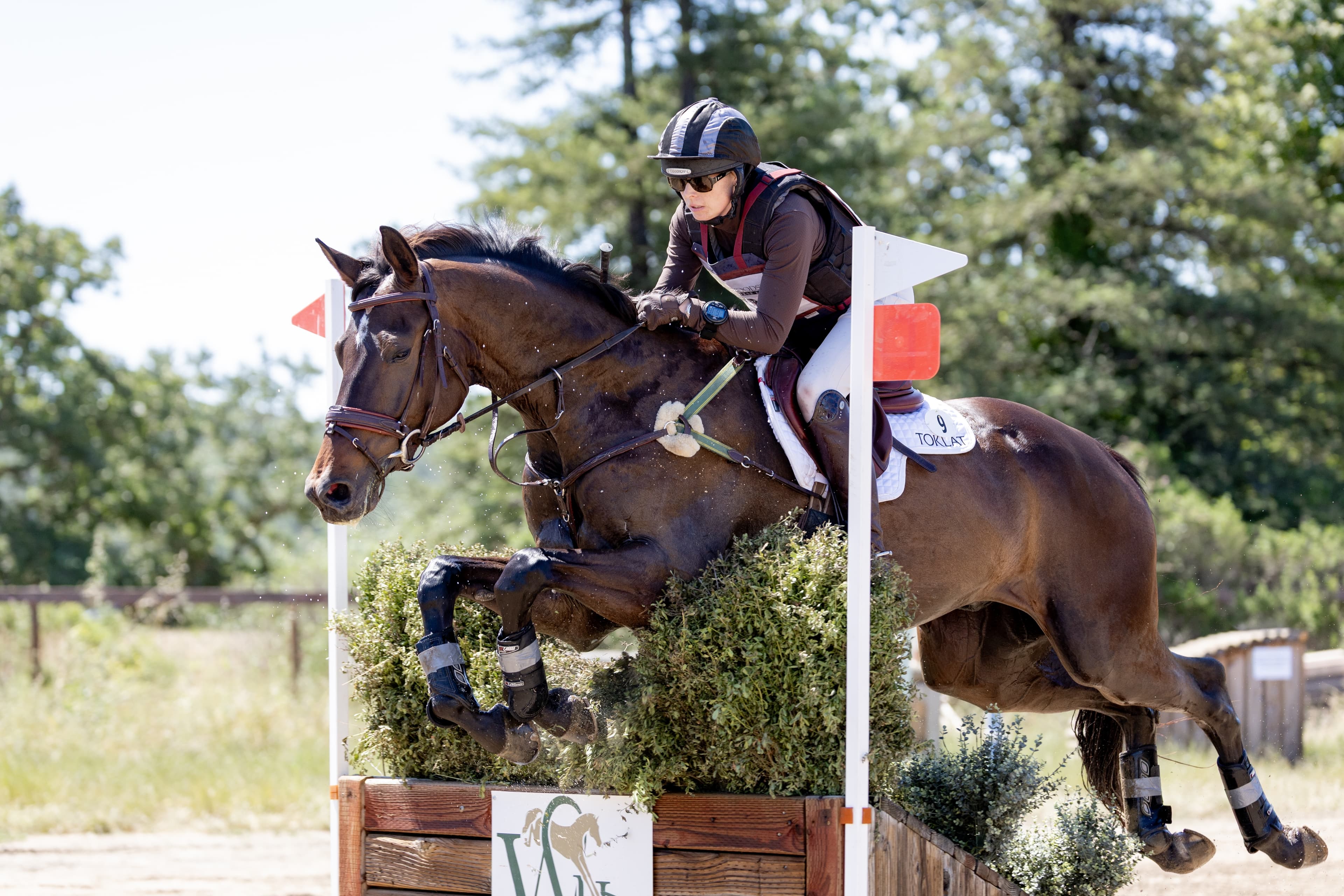 The Race to Le Lion Begins: Qualification Requirements and Current Contenders for the 2026 Holekamp/Turner Grant