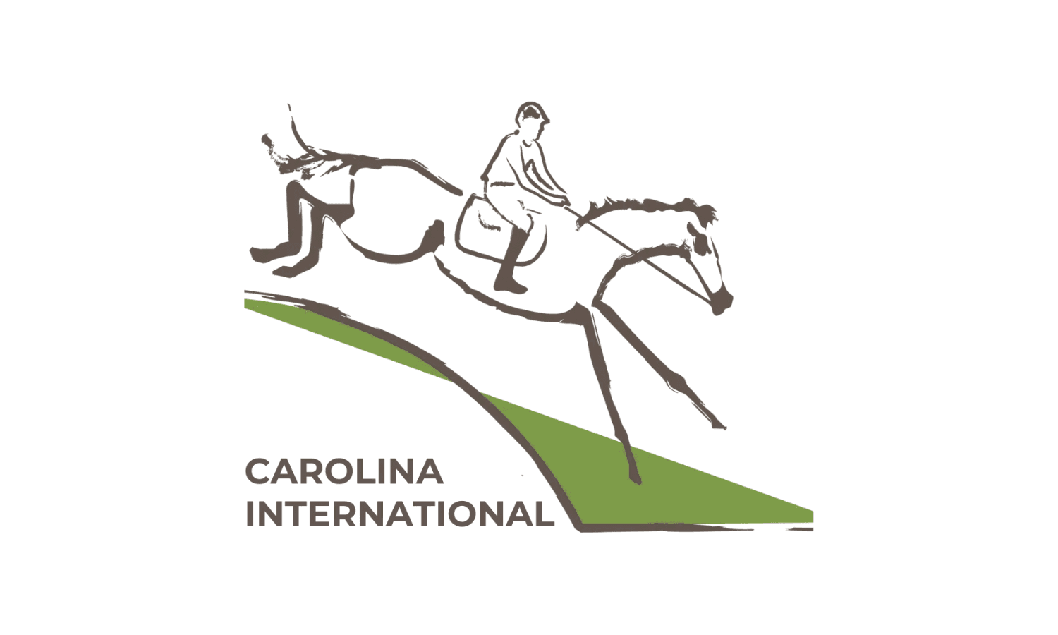Equine Fatality at Carolina International CCI & H.T.