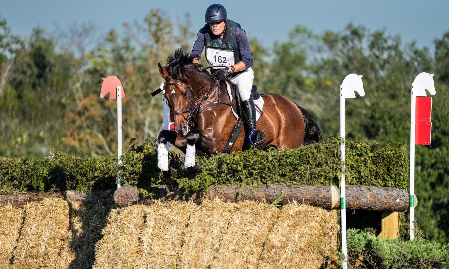 Points, Progress, and a Plan: Meet 2025 SmartEquine USEA Stallion of the Year FR's Citadel