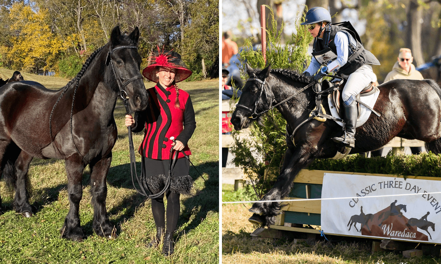 'Friesian From the Dryer' Kimberlake Jophiel Wins 2025 SmartEquine USEA Pony of the Year Title