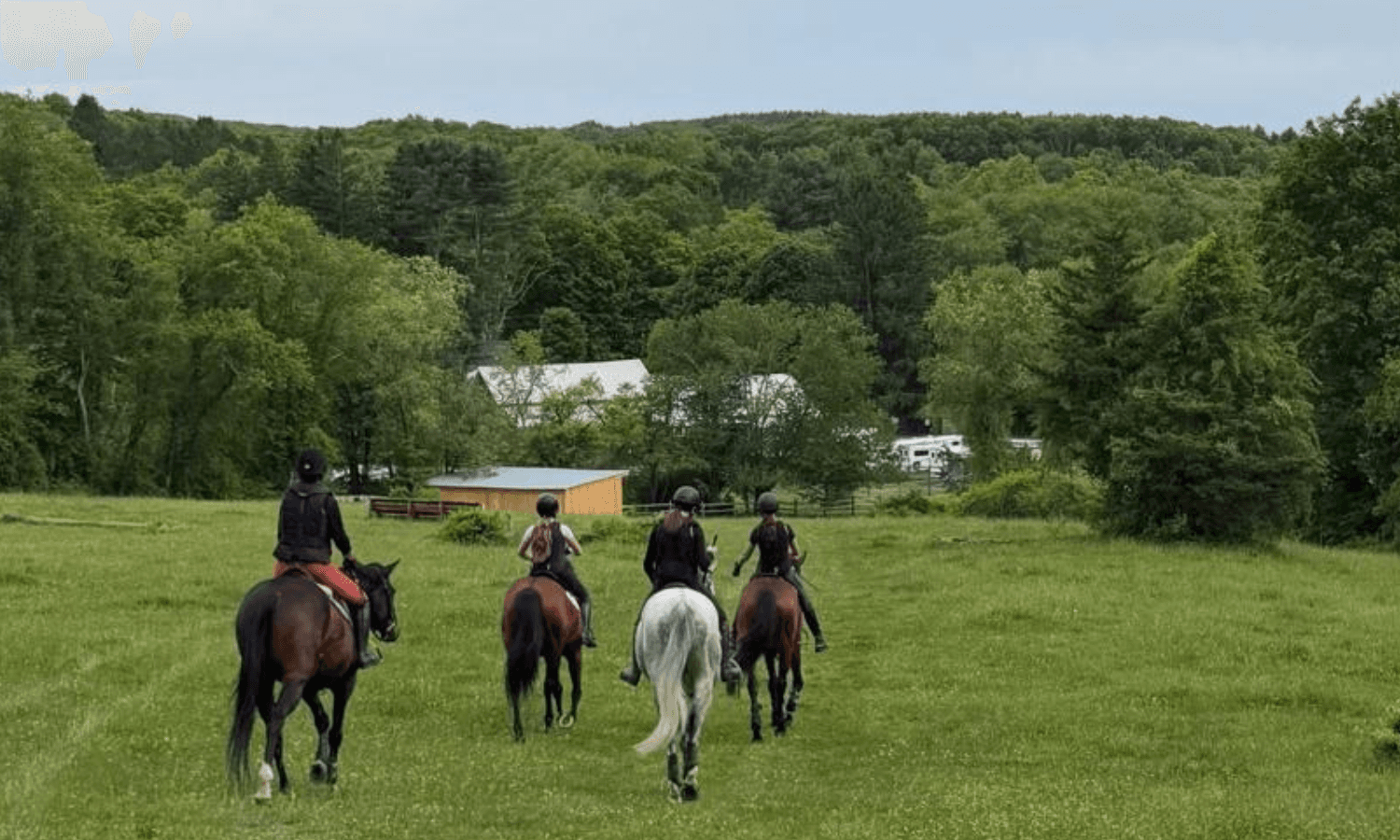 Ride the Pace Program Builds Momentum with Hands-On Workouts, Online Reach, and Upcoming Millbrook Sessions