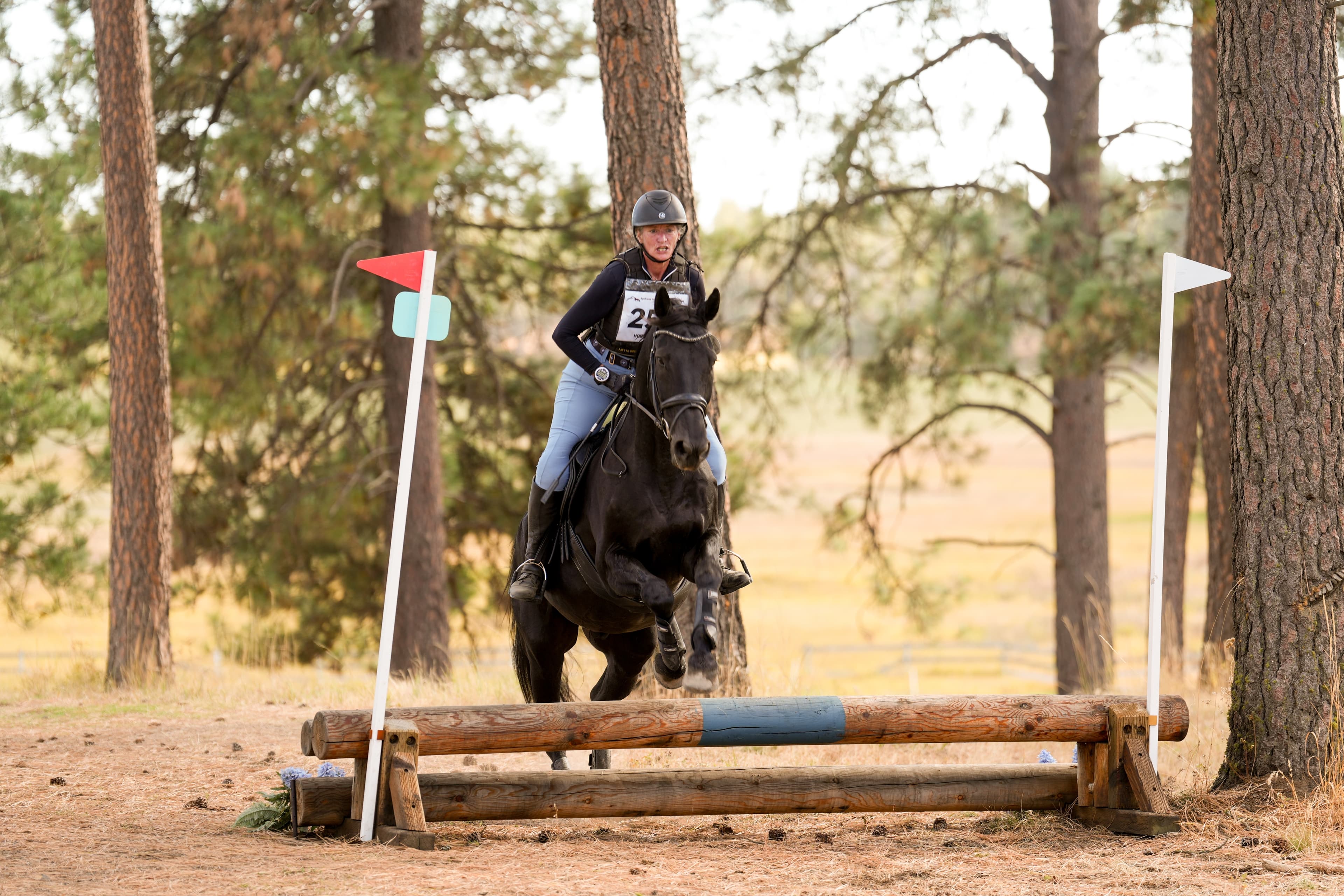 Never Say Never: Devoted Area VII Volunteer Sarah Airhart Completes Her First USEA Recognized Event