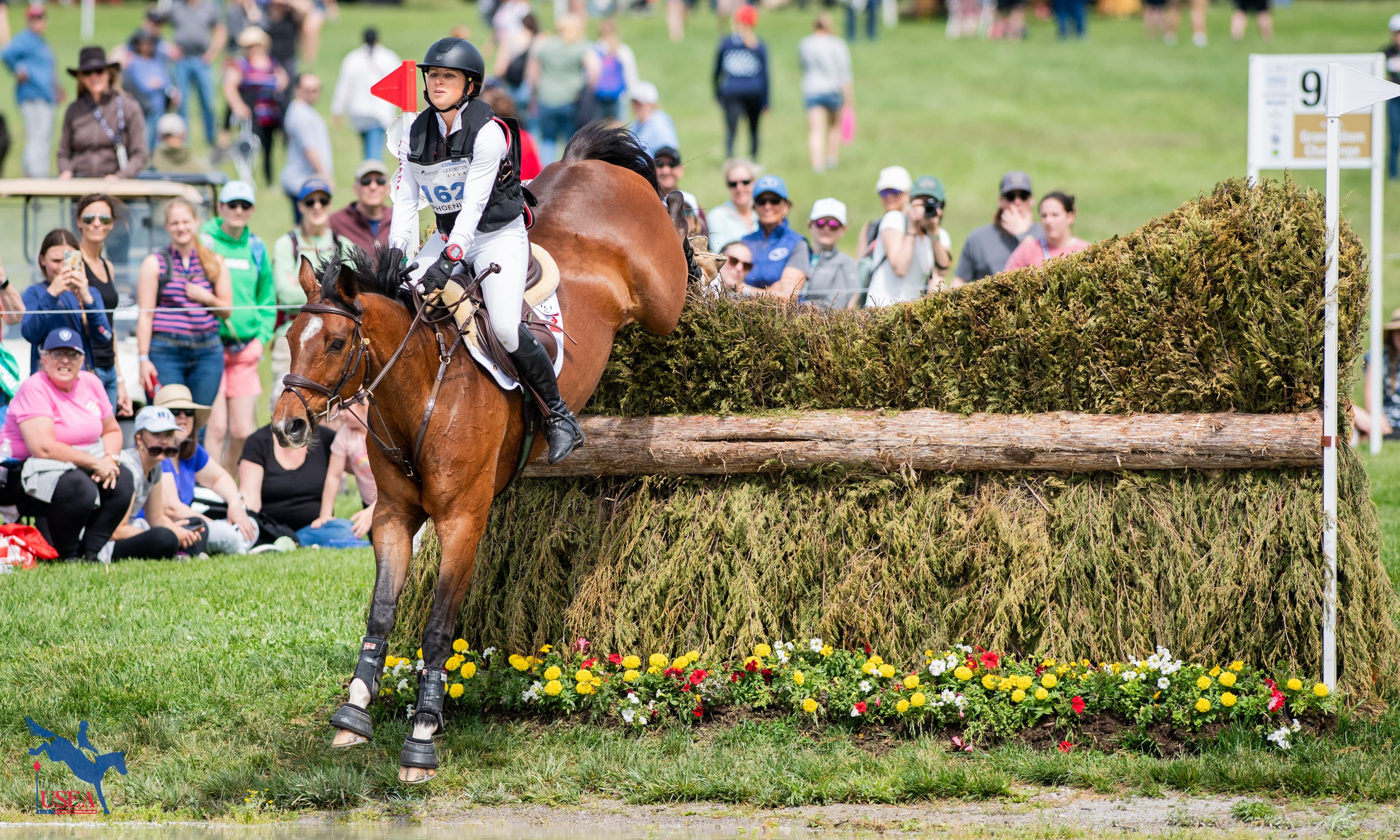 Built, Not Bought: Bates USEA Mare of the Year Freedom GS and the GS Story