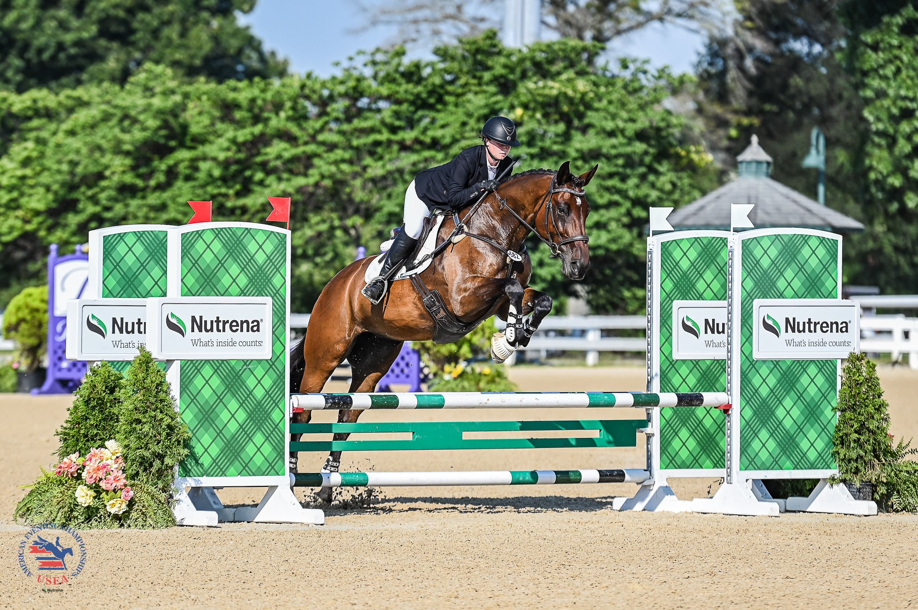 The Road to AEC Gold Ends in Victory for Six Beginner Novice Champions