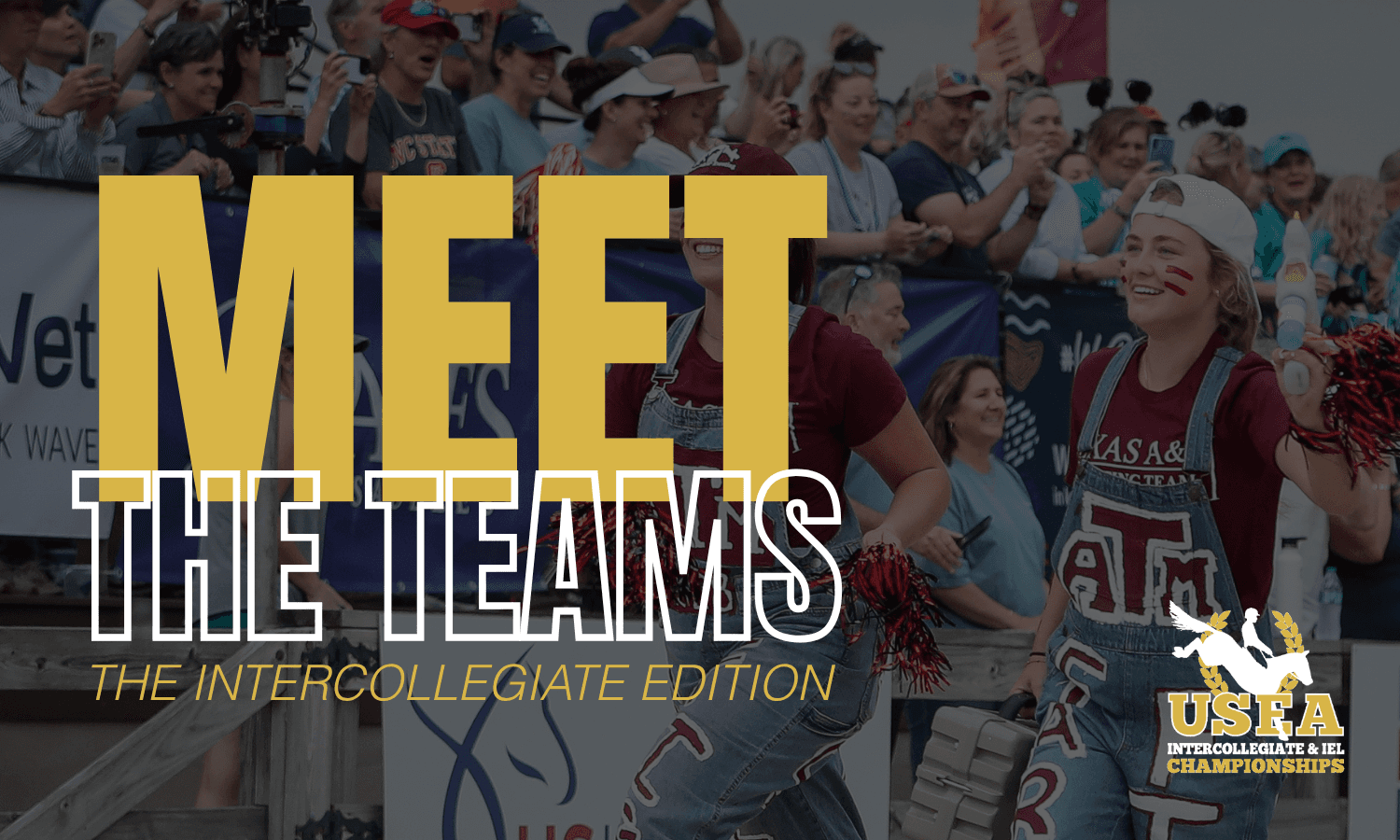 Meet the Teams: The Intercollegiate Edition