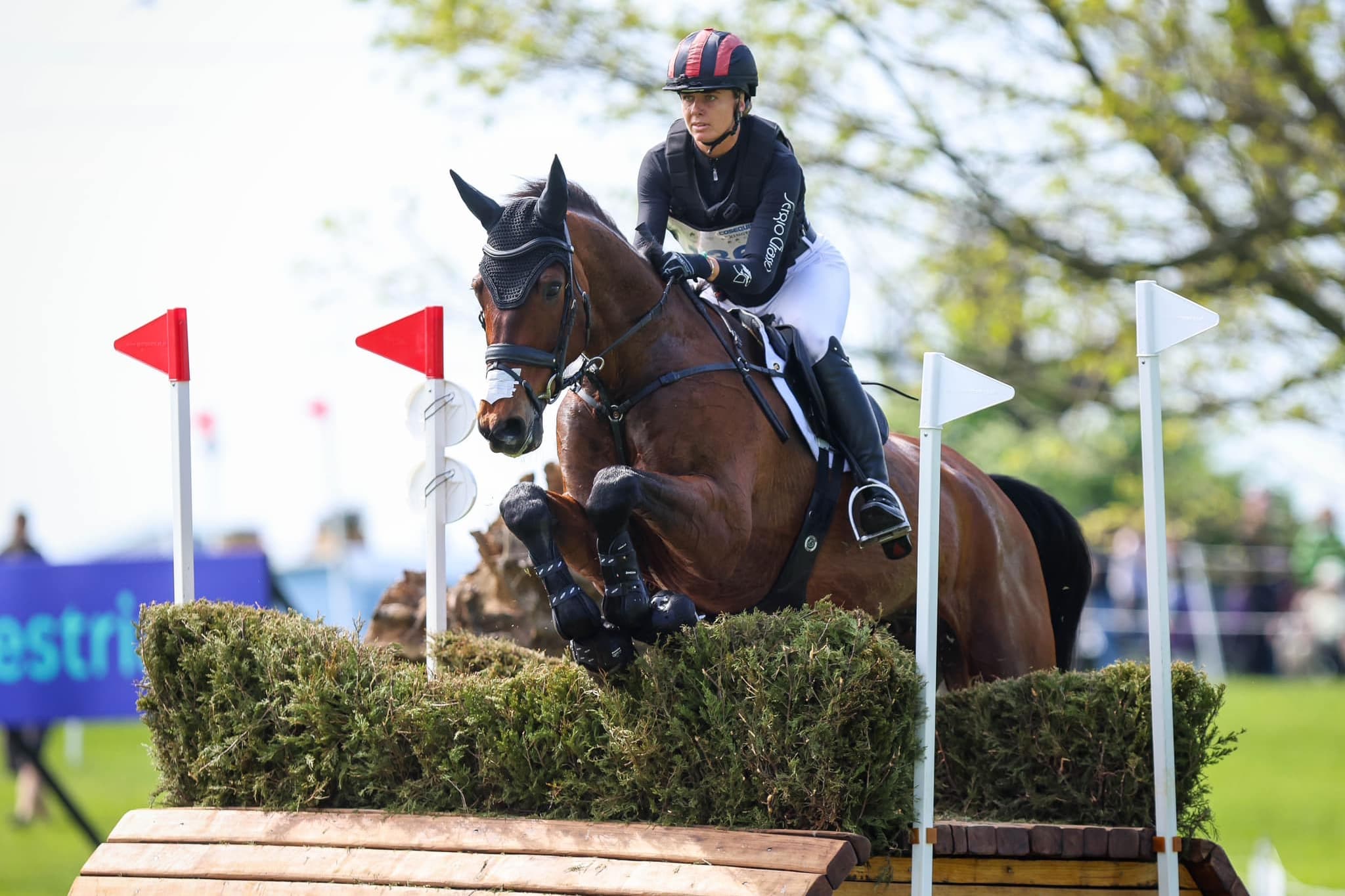 Lung Bleeding in the Eventing Horse: What EIPH Is and Why It Matters