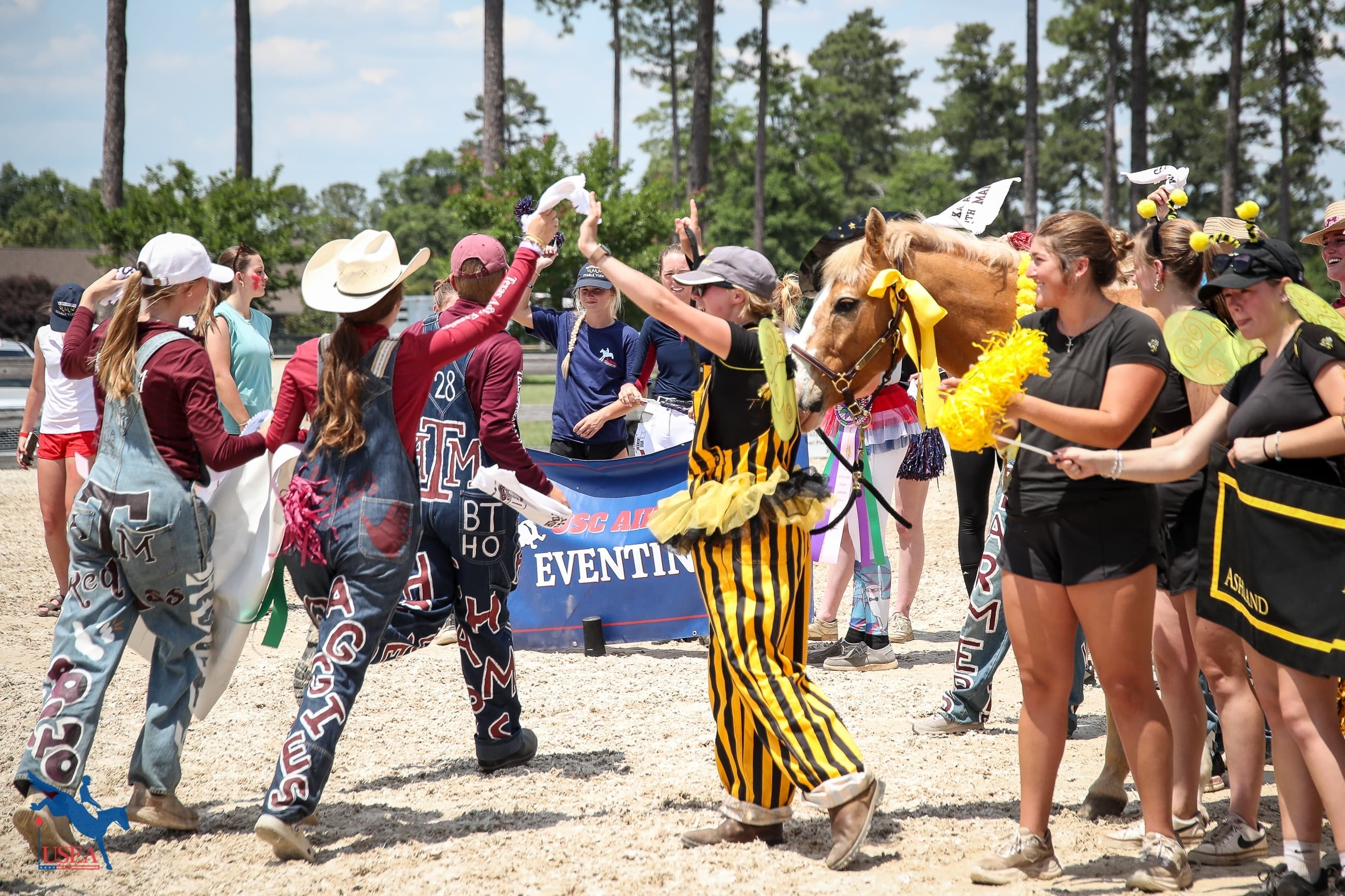 Updates to the USEA Intercollegiate Eventing Program & Interscholastic Eventing League Encourage Team Challenge Participation & Fundraising Promotion