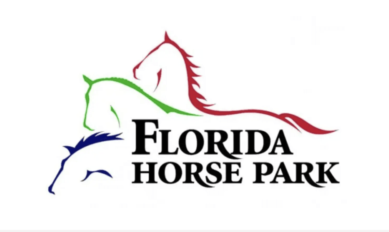 Equine Injury at Ocala International
