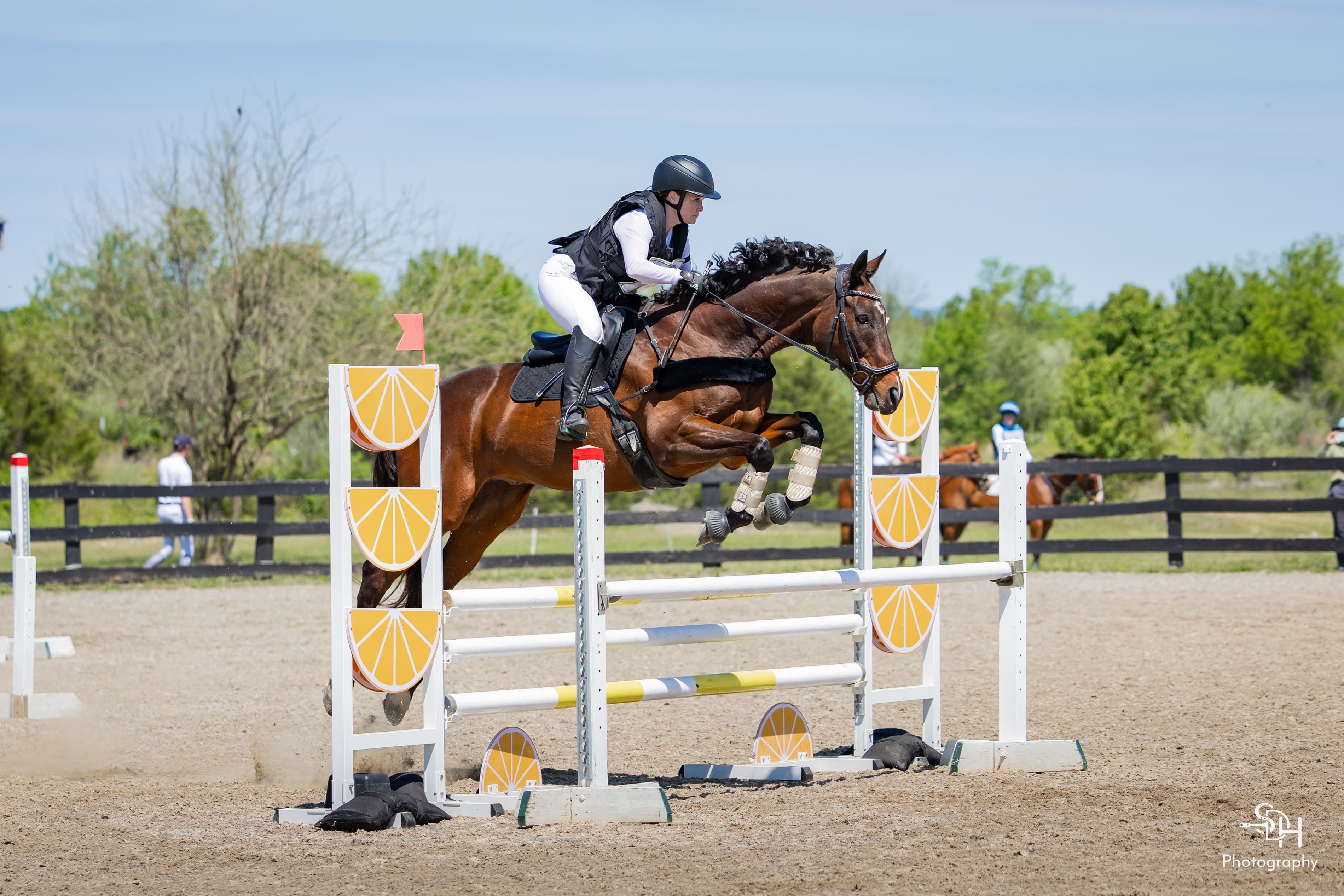 Road to the AEC: OTTB Master Rudy Defies the Odds with Sara Staley