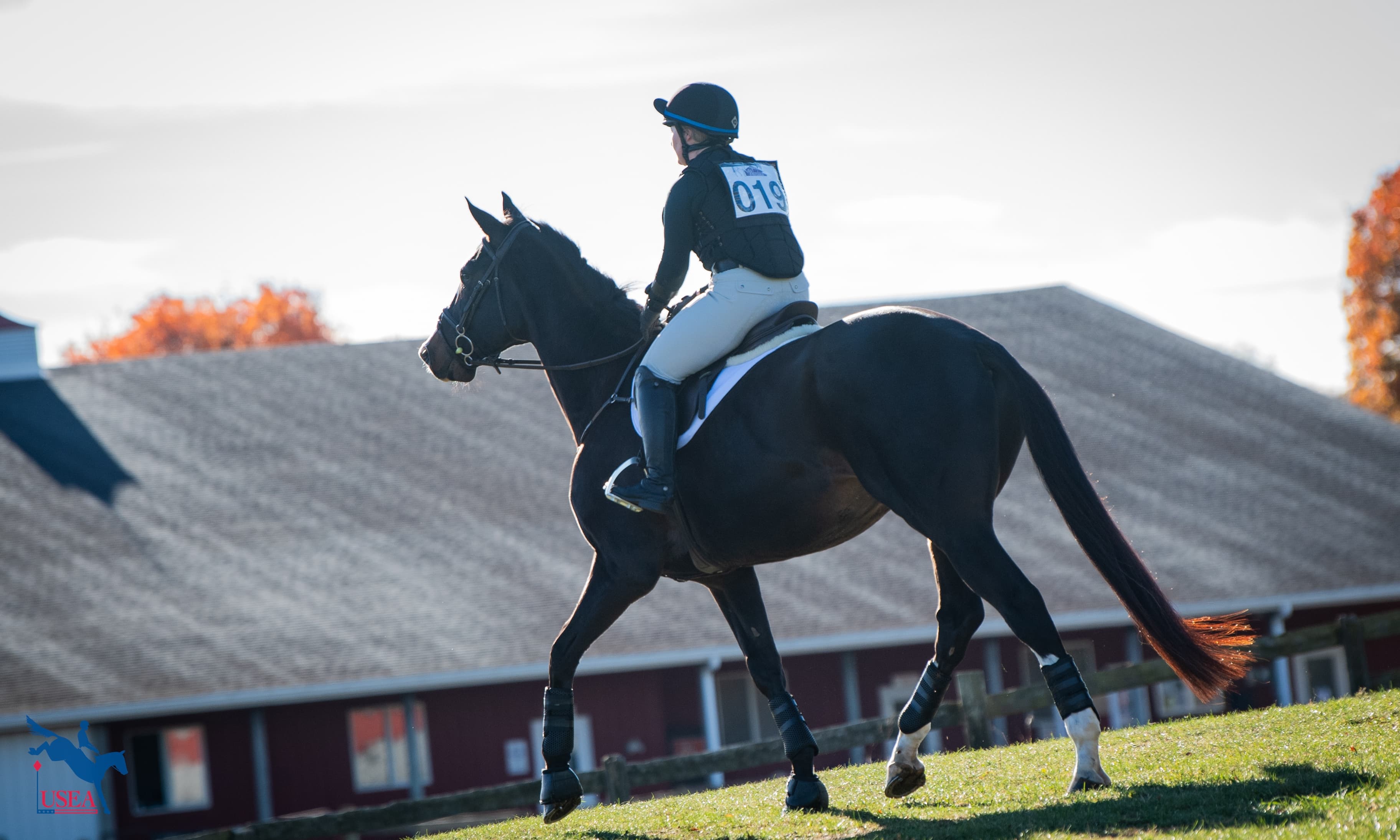 Inaugural TEAPRO Grants Announced