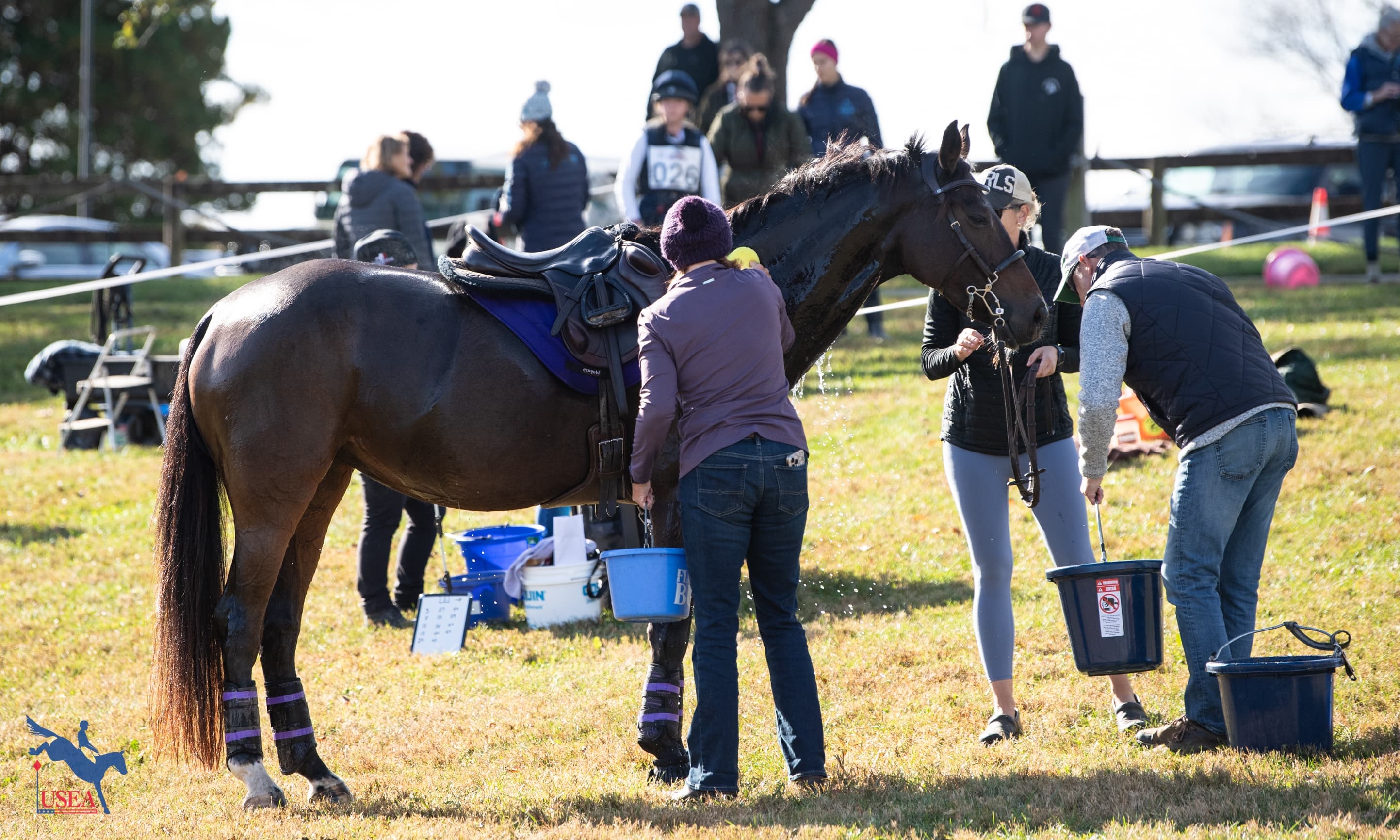 Tips for the 10-Minute Box at a Classic Three-Day Event