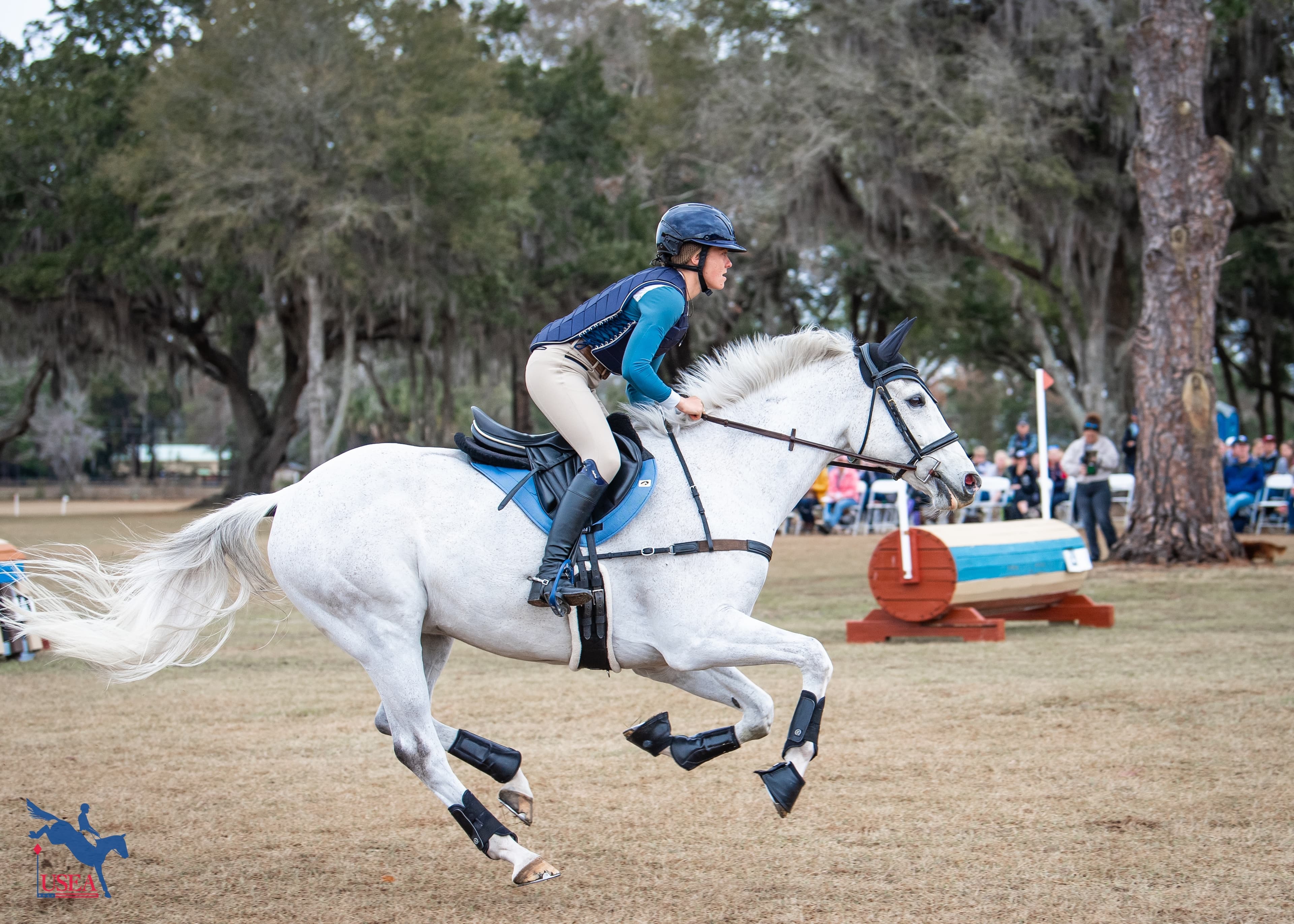 Save the Date: 2027 Young Event Horse Symposium in Ocala, Florida