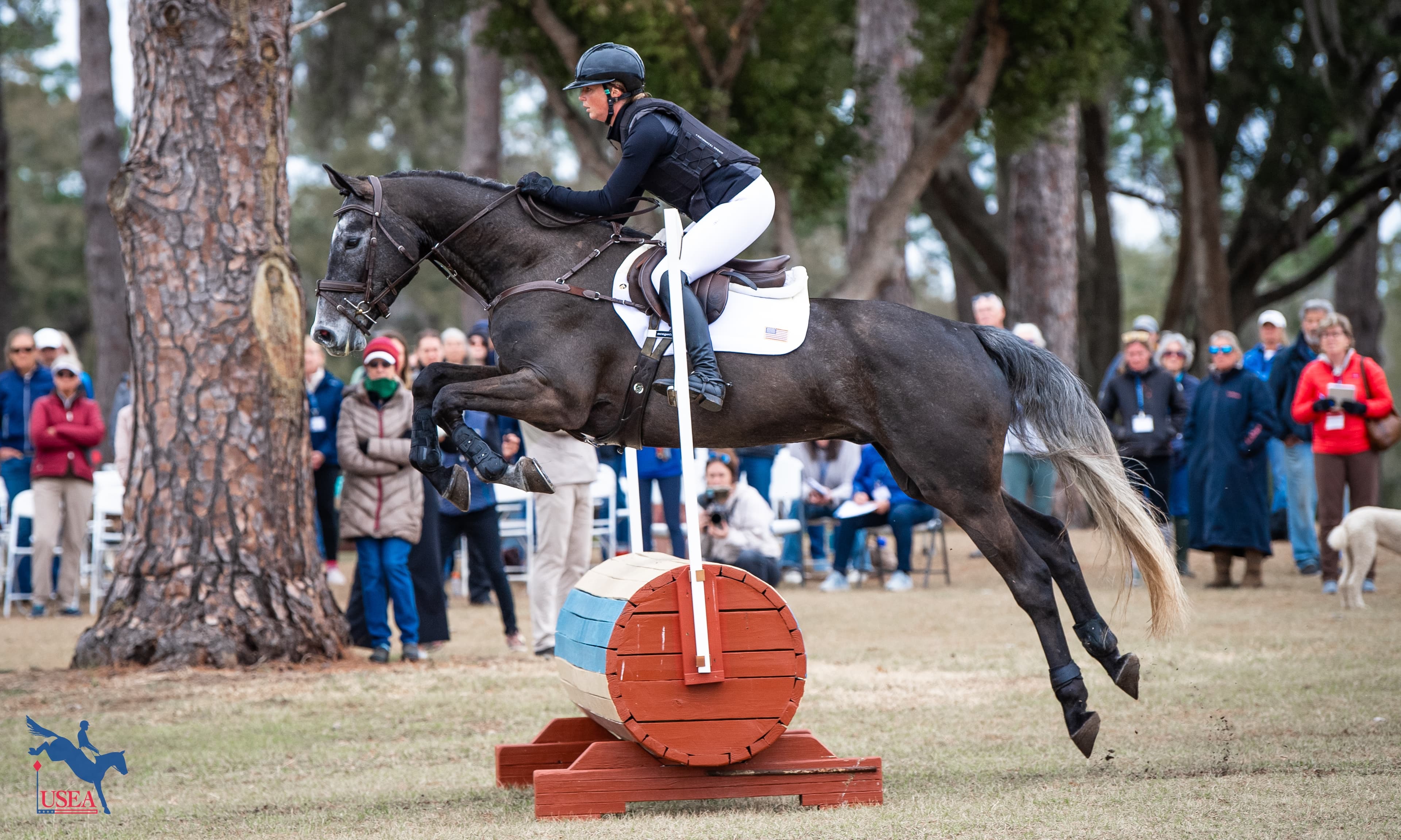 Through the Lens: 2026 Ocala Horse Properties USEA Young Event Horse Symposium