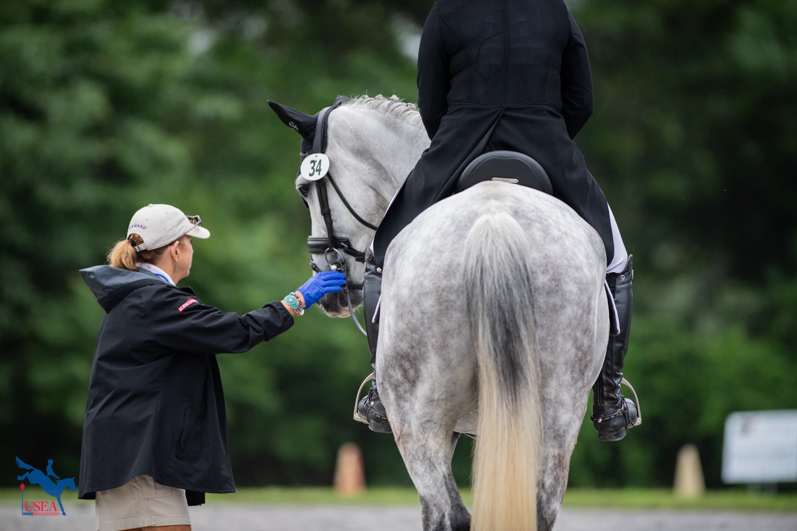 The VAP Series: Dressage Bit Check