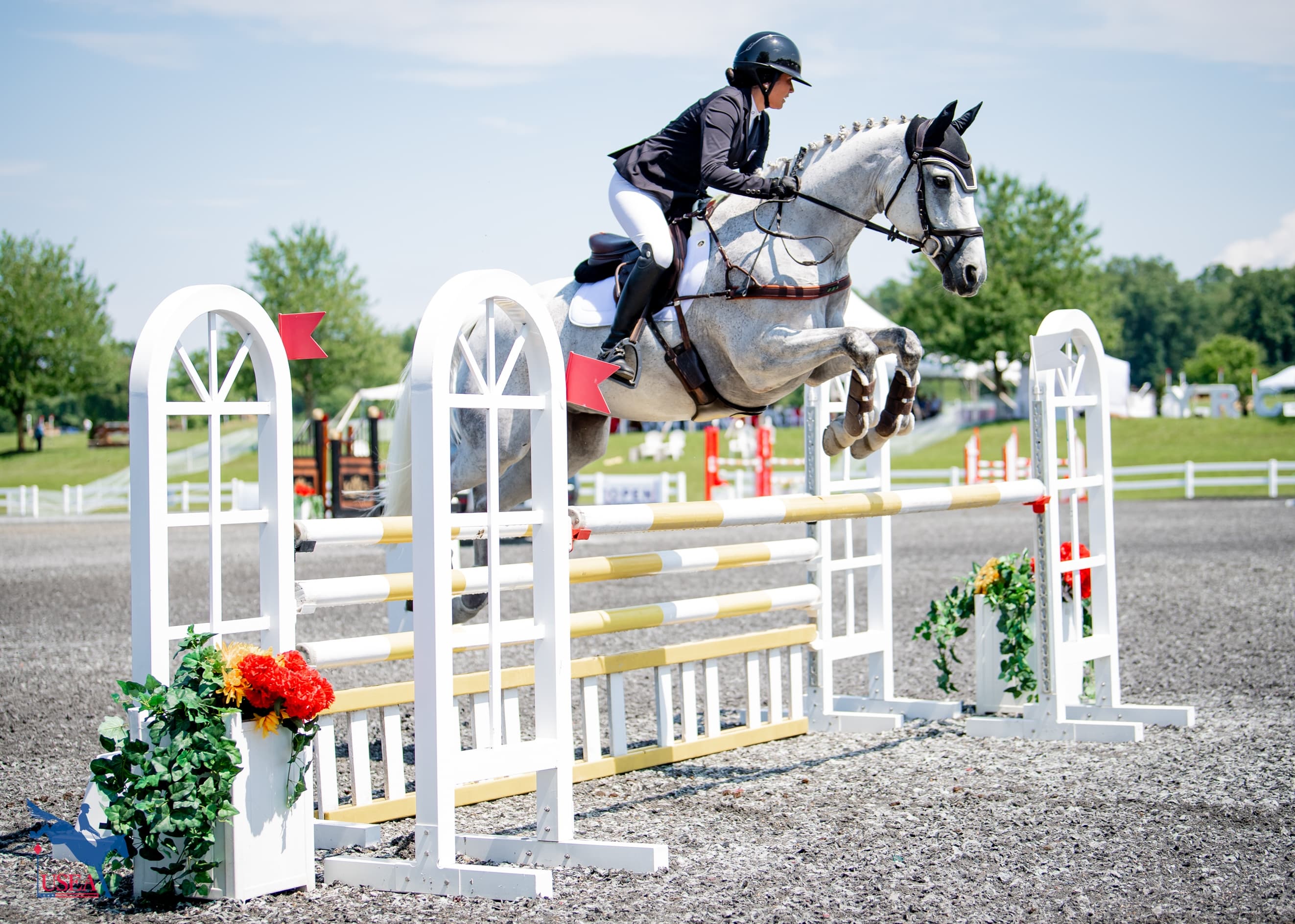 Earn Year-End Achievements on the All New USEA Combined Test Leaderboard