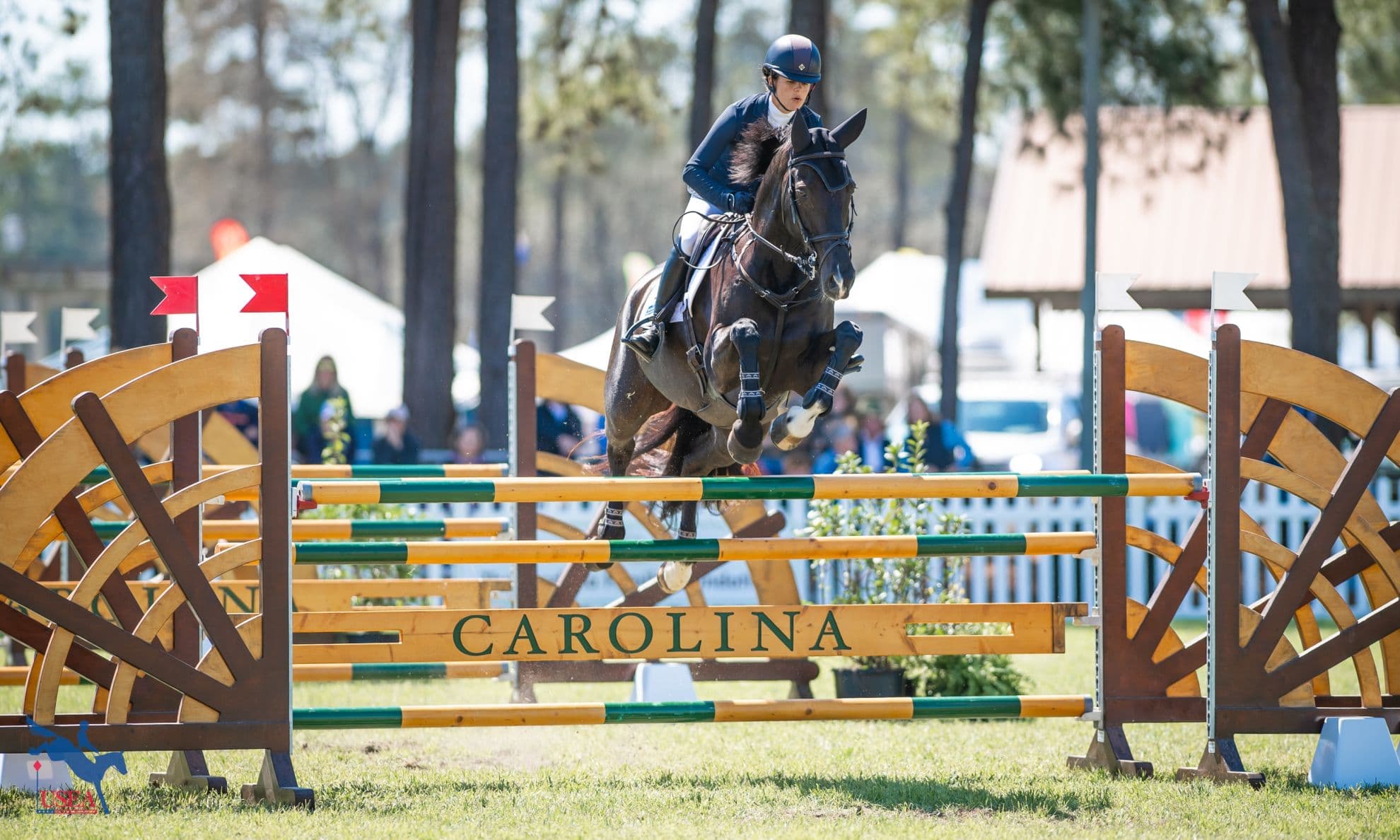 Catch Up on Carolina Coverage!