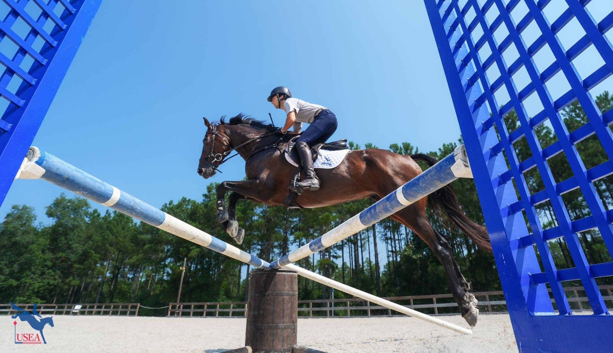 Learn More About the Sport of Eventing
