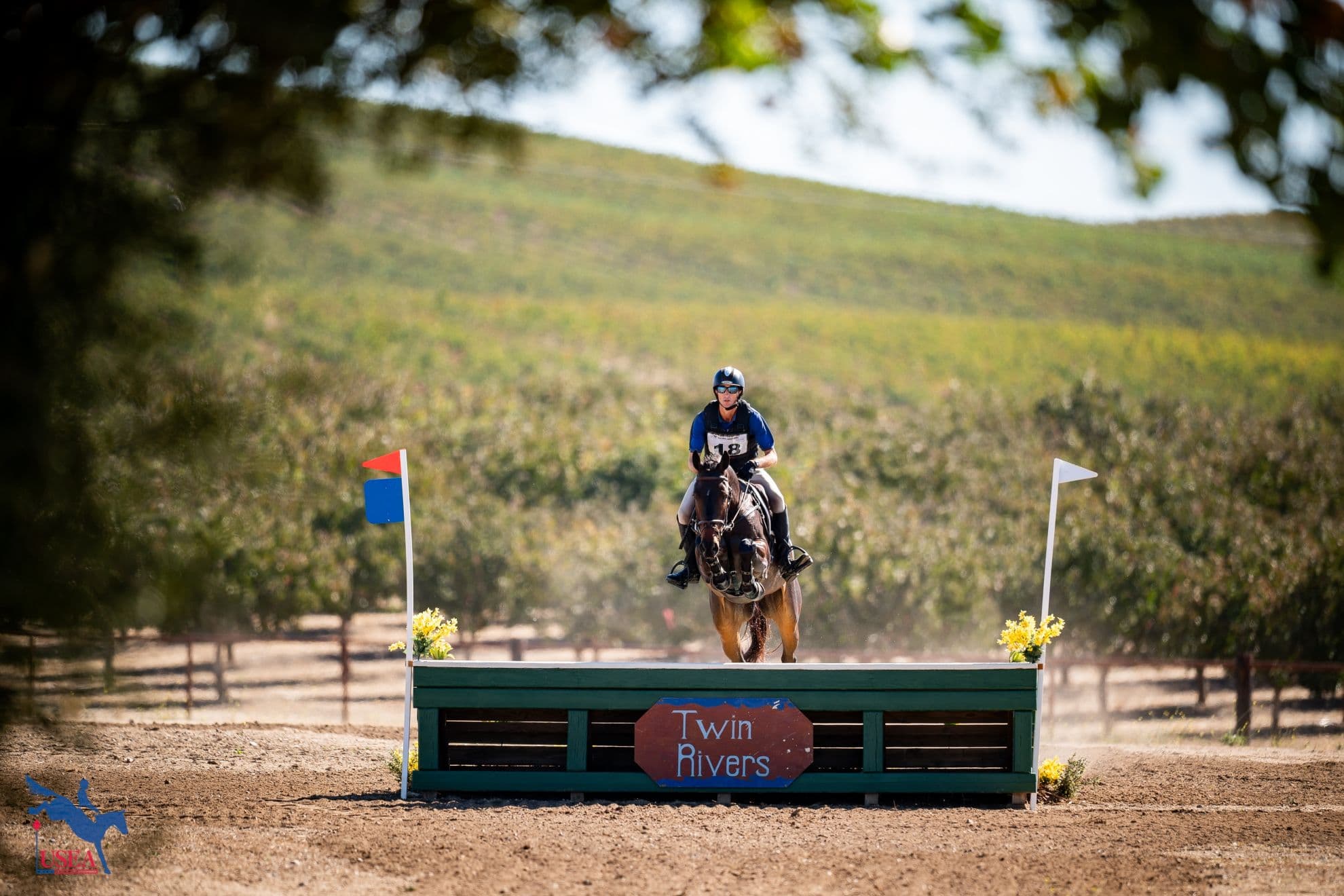 Meet the 2026 USEA Young Event Horse Champions