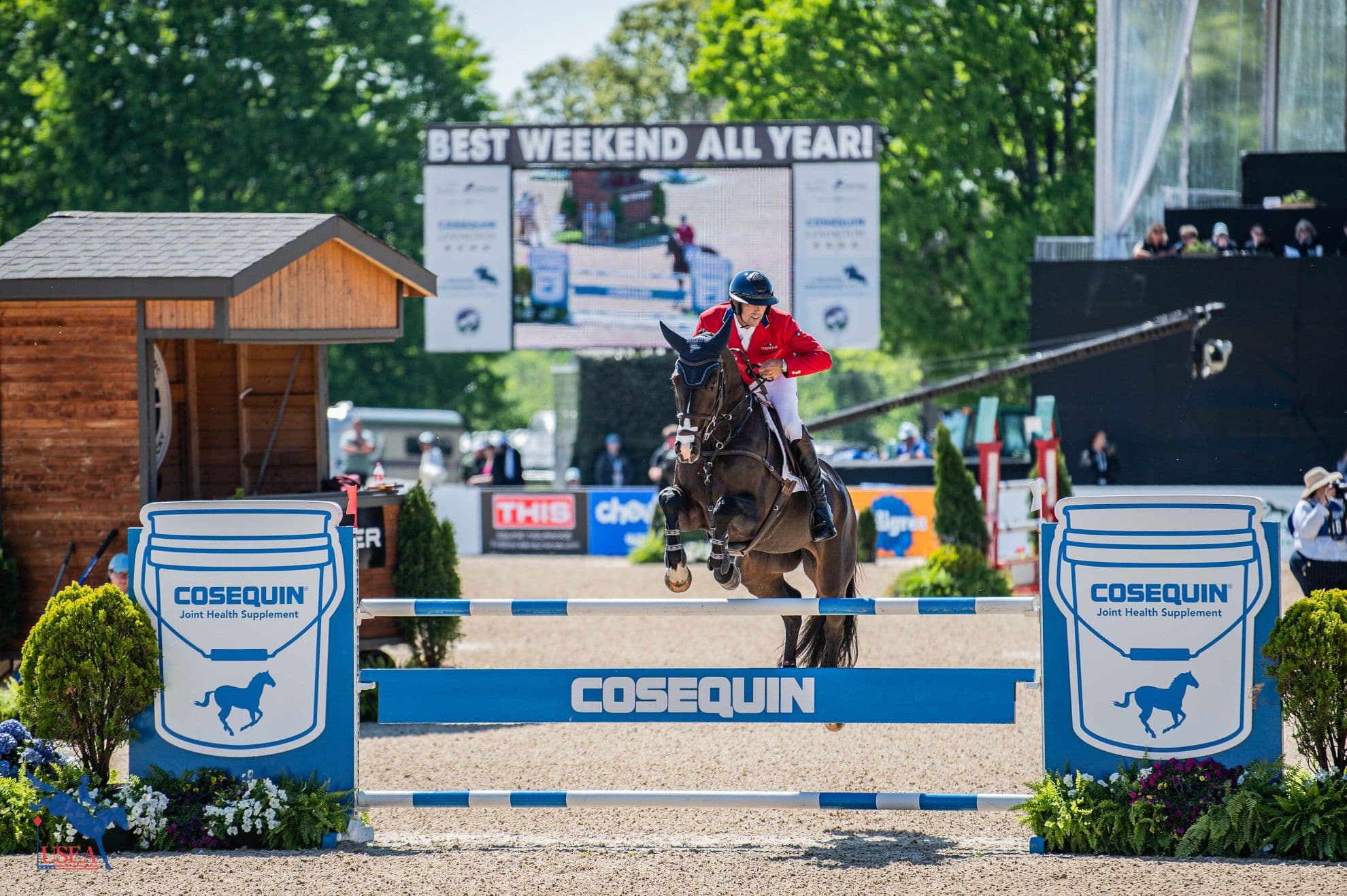 Coleman Conquers at Defender Kentucky Three-Day Event