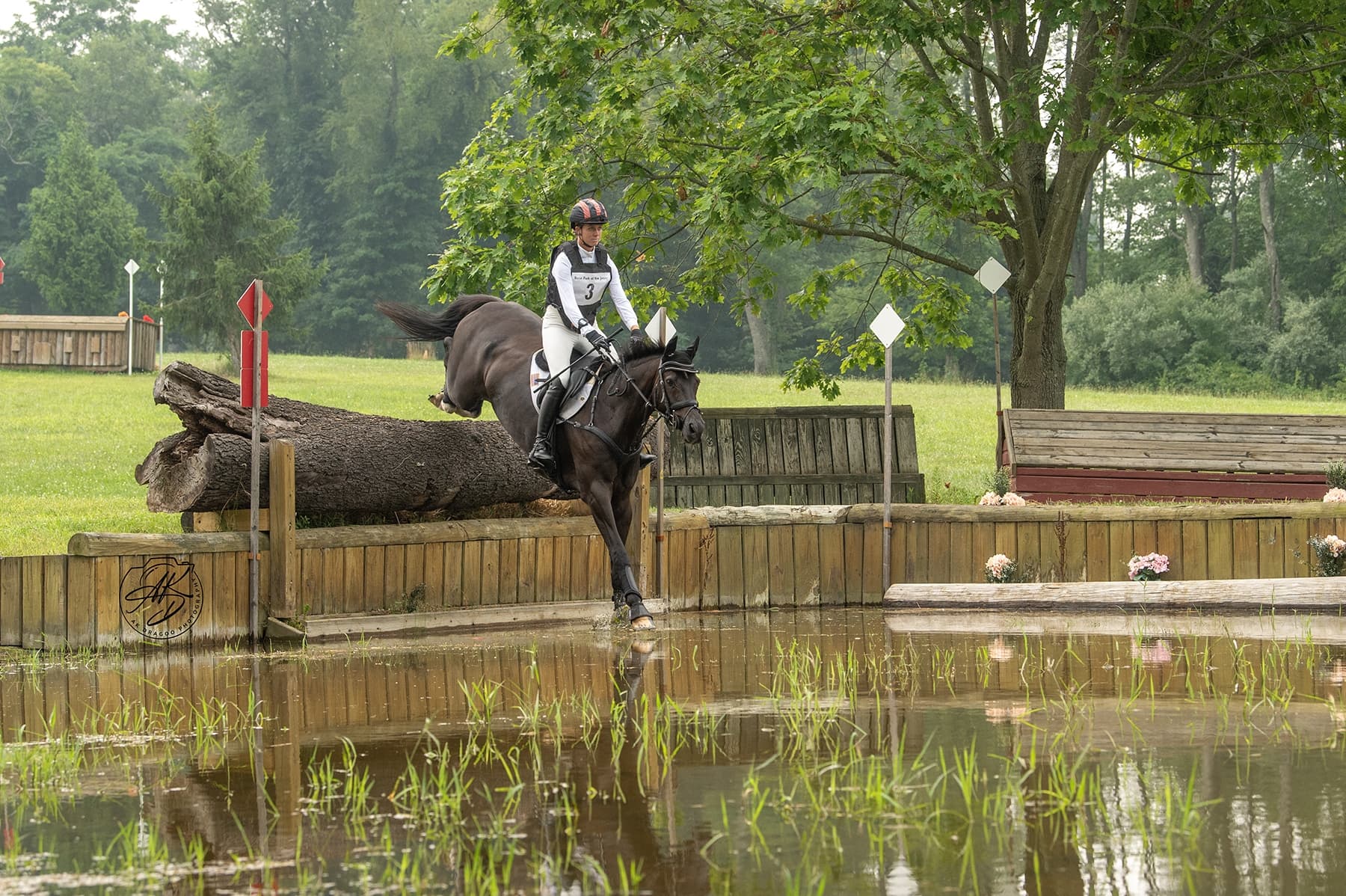 U.S. World Championship Team Preps at Tryon and Horse Park of New Jersey