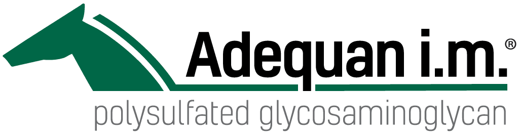 Official Joint Therapy Treatment of the USEA